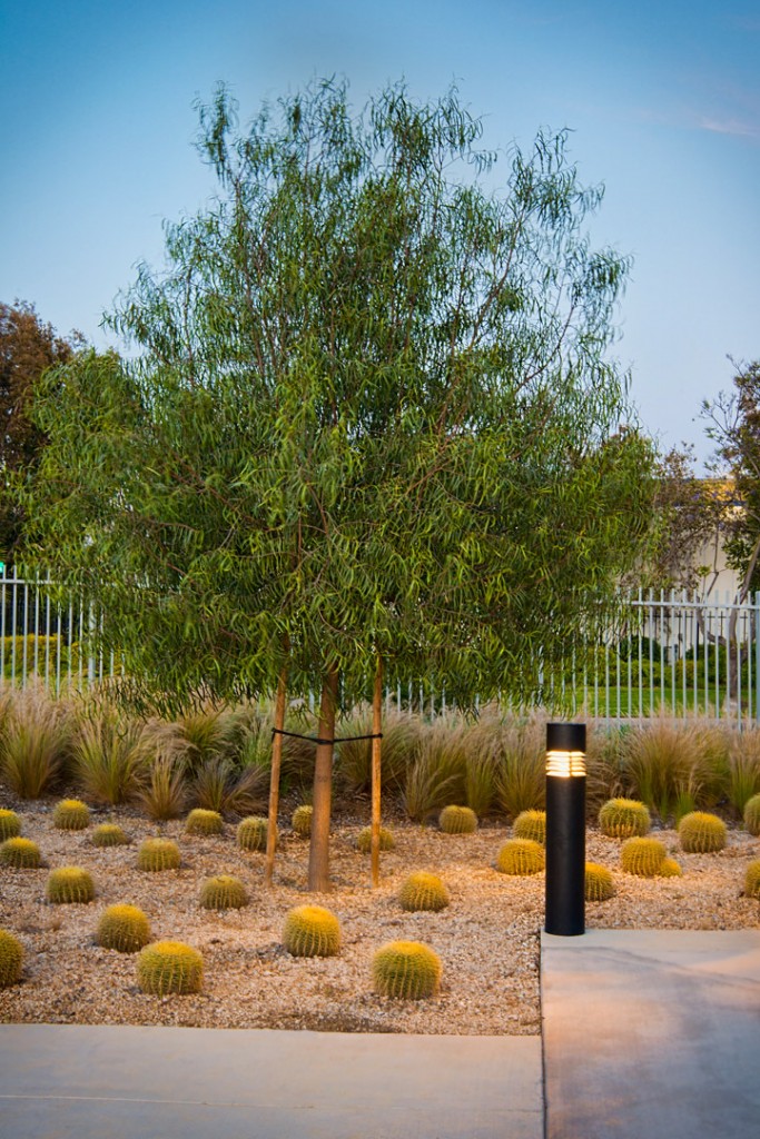 966 Sandhill Ave Carson CA, Yael Lir Landscapes Architect
